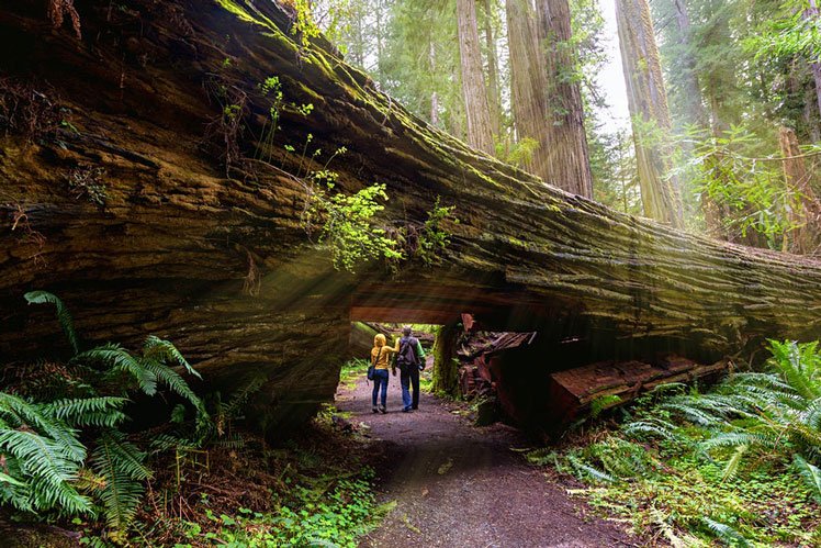 Marriott is offering discounts at hotels near national parks © Yaya Ernst/Shutterstock
