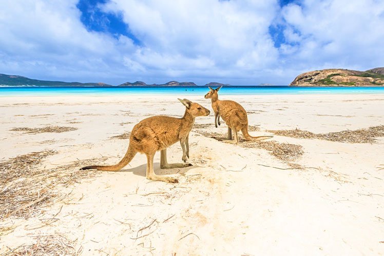 Summer down under is a season of sun and festivities. Here are the best things to do in Australia during the summer months © bennymarty / Getty Images