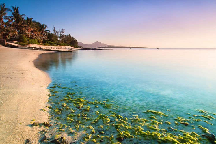 Mauritius is to provide free vaccines to holders of a premium visa © Claire Willans/500px