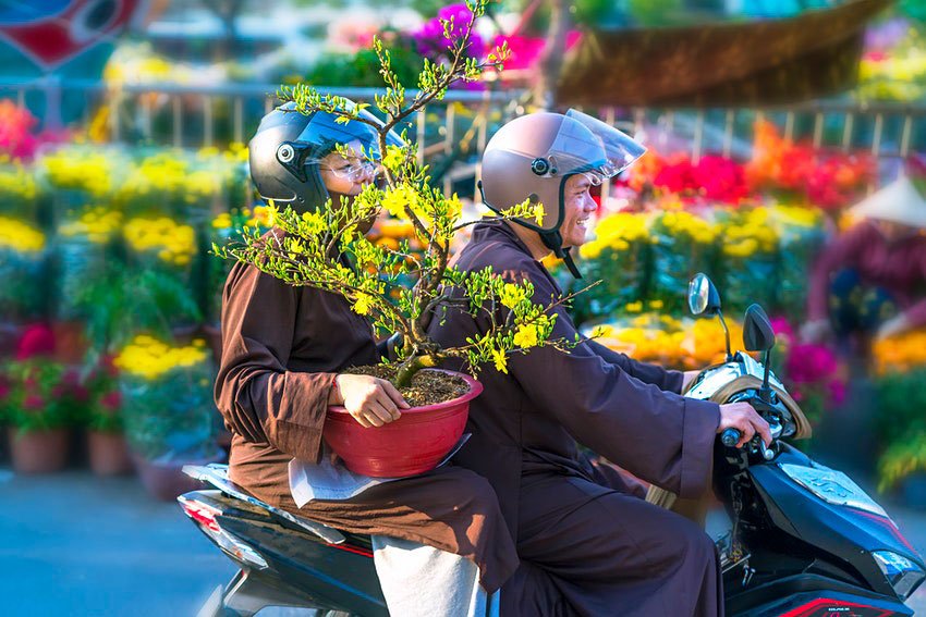 Vietnam will reopen to tourists on March 15 © HuyThoai/Getty Images