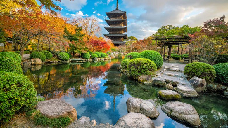 Toji temple and wood pagoda in autumn Kyoto, Japan sunset