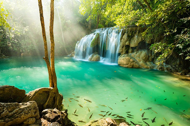 Without human contact, wildlife is thriving © Lonely Planet