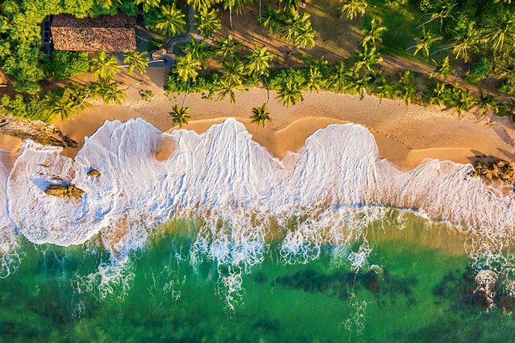 Sri Lanka is getting ready to welcome visitors again from 1 August © Anton Petrus / Getty Images